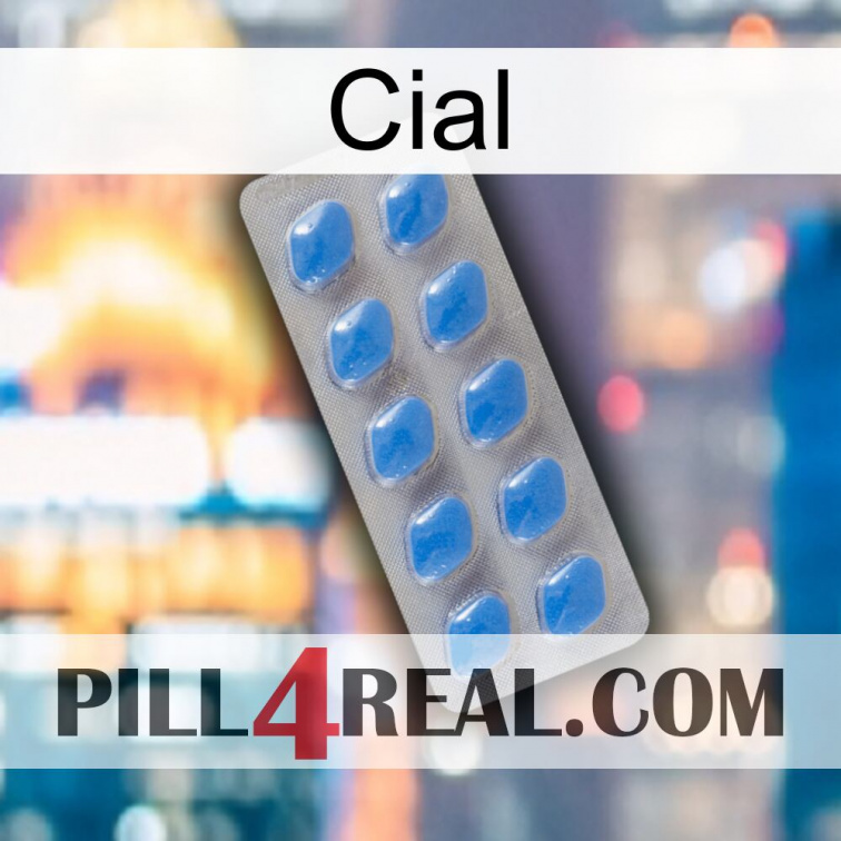 Cial 22